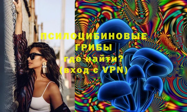 таблы Алексеевка