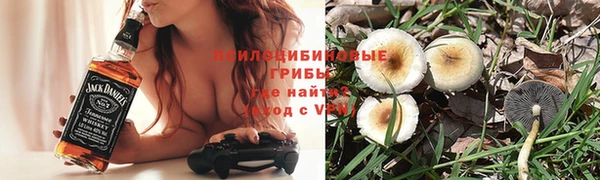 спайс Алексин