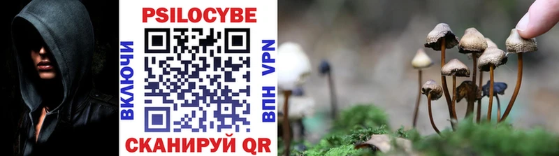площадка официальный сайт Курчалой Галлюциногенные грибы Magic Shrooms купить наркотик